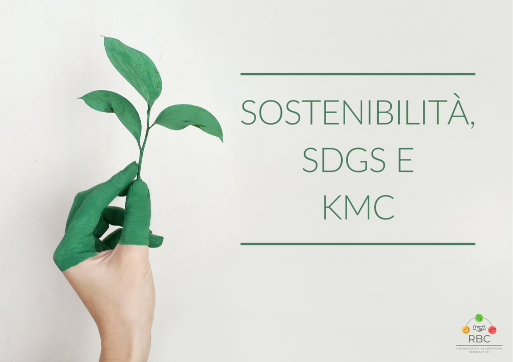 Sostenibilità e SDGS