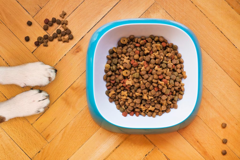 aromi-per-petfood-e-cibo-per-animali-rodolfobonnet